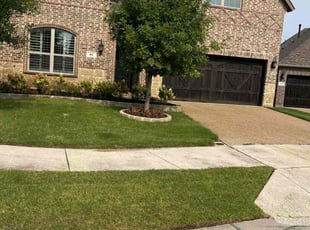 Aslin H.'s Yard Cutting service result