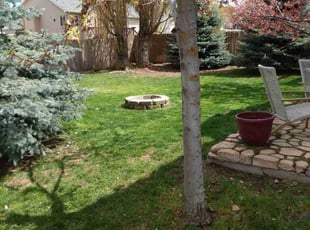 Leaf Removal by Chuck Armitage for Vanessa M. in Medical Lake, WA