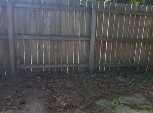Landscaping by Matthew Alexander for Miranda W. in Raleigh, NC