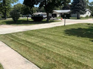 Ricky T.'s Lawn Mowing service result