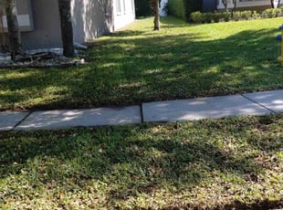 Veronica Y.'s Lawn Mowing Service service result