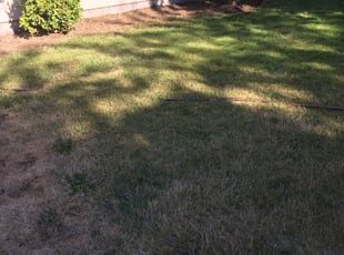 Weeding by Stacie Jackson for Maria A. in Federal Way, WA