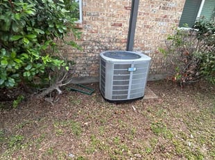Leaf Removal by Logan Holzmeier for Kyarra M. in Burleson, TX