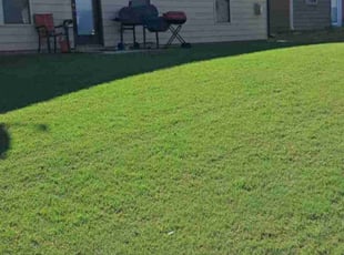 William P.'s Lawn Mowing service result