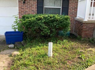 Bush Trimming by Duane Blackwood for Donald S. in Buffalo, NY