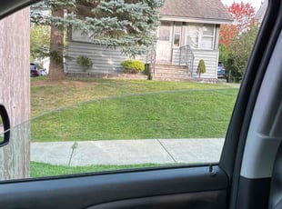 Bush Trimming by Jameson DeFio for Kathleen C. in Syracuse, NY