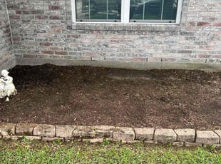 Weeding by Damahjion Houke for Priscila T. in Baytown, TX