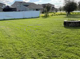 Imad C.'s Lawn Care service result