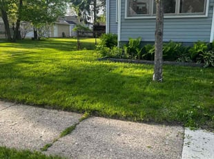 Melissa A.'s Lawn Care service result