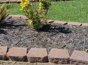 Weeding by Alexis Perez for Nicholas N. in Cypress, TX