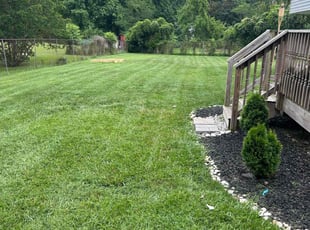 Frances A.'s Lawn Maintenance service result