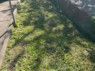 Tuan C.'s Grass Cutting service result