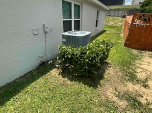 Bush Trimming by Jeff Osbeck for Roscoe K. in Davenport, FL