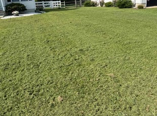 Dale W.'s Lawn Maintenance service result
