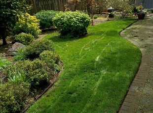 Jack P.'s Lawn Mowing Service service result