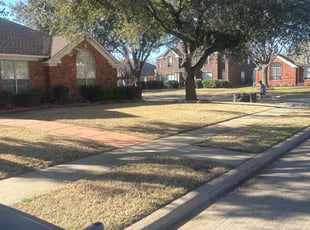 Leaf Removal by Dante Pressley for Deepak B. in Coppell, TX