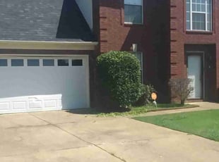 Bush Trimming by Jerome Borders for Charis C. in Walls, MS