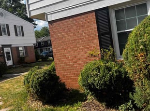 Bush Trimming by Khalim Yularnis for Seth W. in Manassas, VA