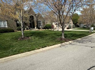 Jordon H.'s Lawn Mowing service result