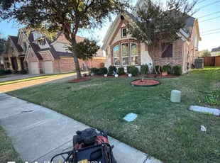 Alma R.'s Lawn Service service result