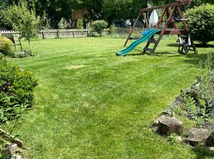 Thomas G.'s Lawn Mowing service result