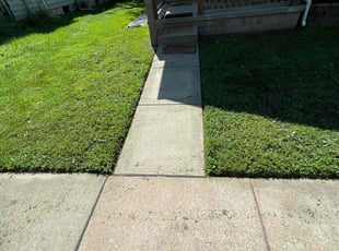 Aneesa G.'s Yard Cutting service result