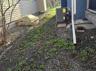 Leaf Removal by Gilles Nguimatsa for Riley A. in Minneapolis, MN