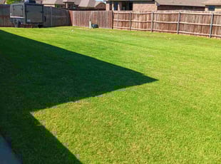 Alesha B.'s Lawn Service service result