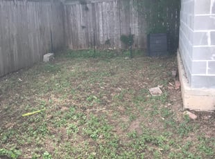 Raymond B.'s Landscaping service result