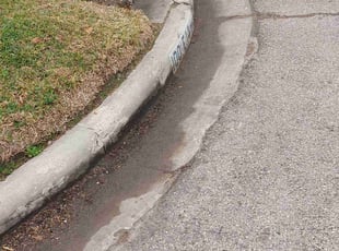Leaf Removal by Antonio Villasenor for Will A. in Houston, TX