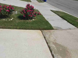 Weeding by Rene Andrade for Lynn C. in Manor, TX