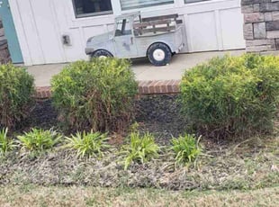 Bush Trimming by Bryan Osment for Cynthia B. in Taylors, SC