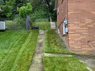 Eric C.'s Lawn Mowing service result