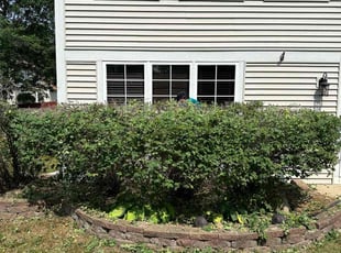 Bush Trimming by Israel Chavez for Kim R. in Plainfield, IL