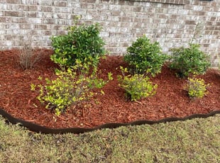 Weeding by Dallas Brunicarde for Brittany W. in Cantonment, FL