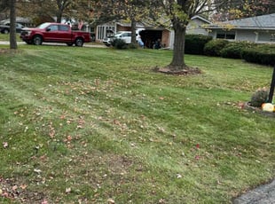 Cleanups by Japheus Sanders for Pierre L. in Troy, MI