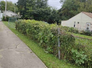 Bush Trimming by Anthony Coleman for Robert S. in WARRENSVL HTS, OH