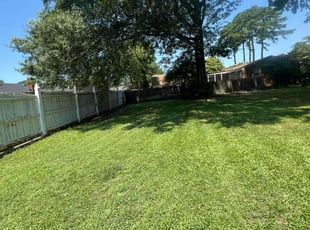 Brad M.'s Grass Cutting service result