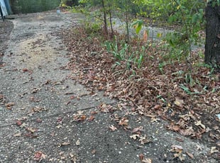 Bush Trimming by Mark Williams for Julie E. in Maumelle, AR