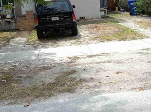 Leaf Removal by John Hernandez for Isabel R. in Miami, FL