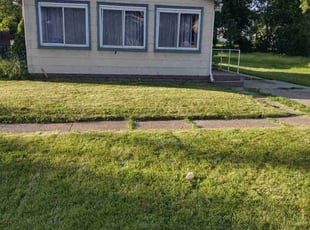 Amy R.'s Lawn Mowing service result