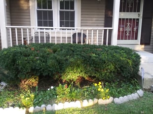 Bush Trimming by Greg Bush for LaTosha G. in Hyattsville, MD