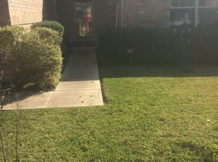 Bush Trimming by Chaes Pate for Brittany K. in San Antonio, TX