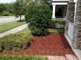 Weeding by Joseph Grasso for Bruce O. in Orlando, FL