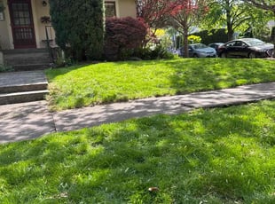 Gabriel S.'s Lawn Care service result