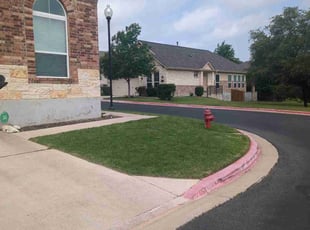 Michelle L.'s Lawn Mowing Service service result