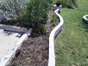 Weeding by Gralin Johnson for Lauren L. in Fort Worth, TX