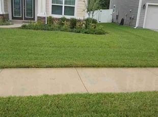 Bush Trimming by Judson Auguste for Johanna L. in Saint Johns, FL
