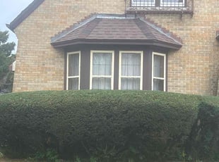 Bush Trimming by Michael Williams for Pam W. in Milwaukee, WI
