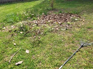 Cleanups by Joshua West for Robert S. in Mechanicsville, VA